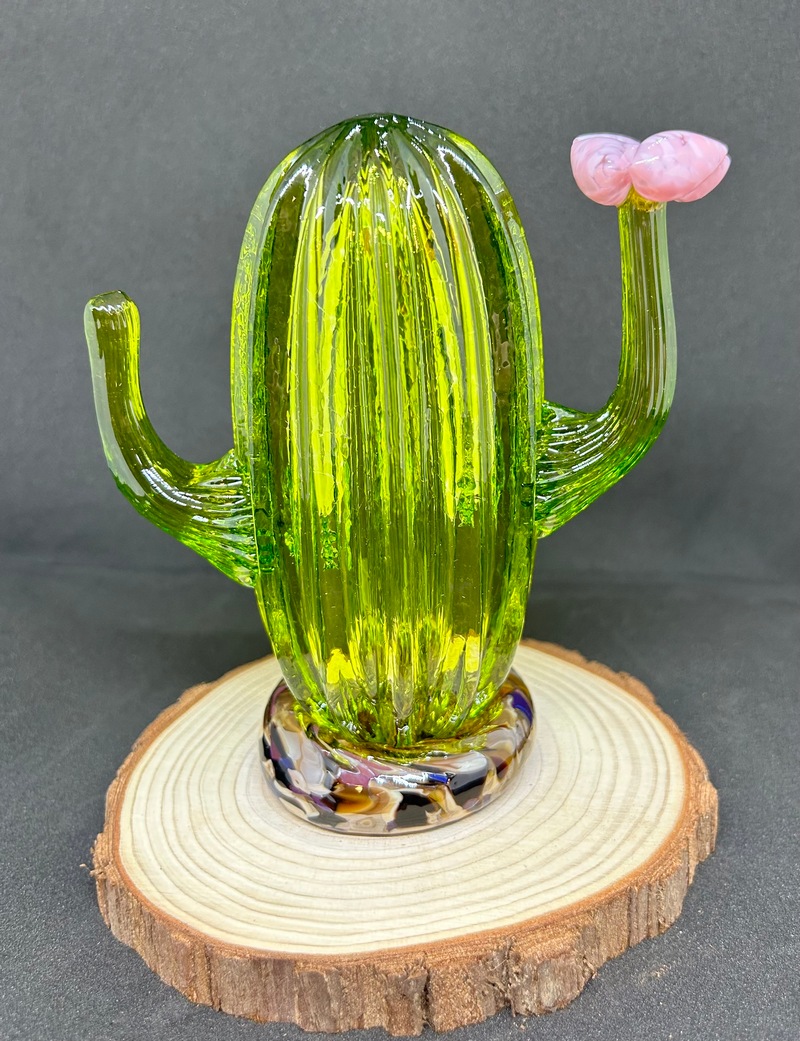 SPEC EXP Cactus
